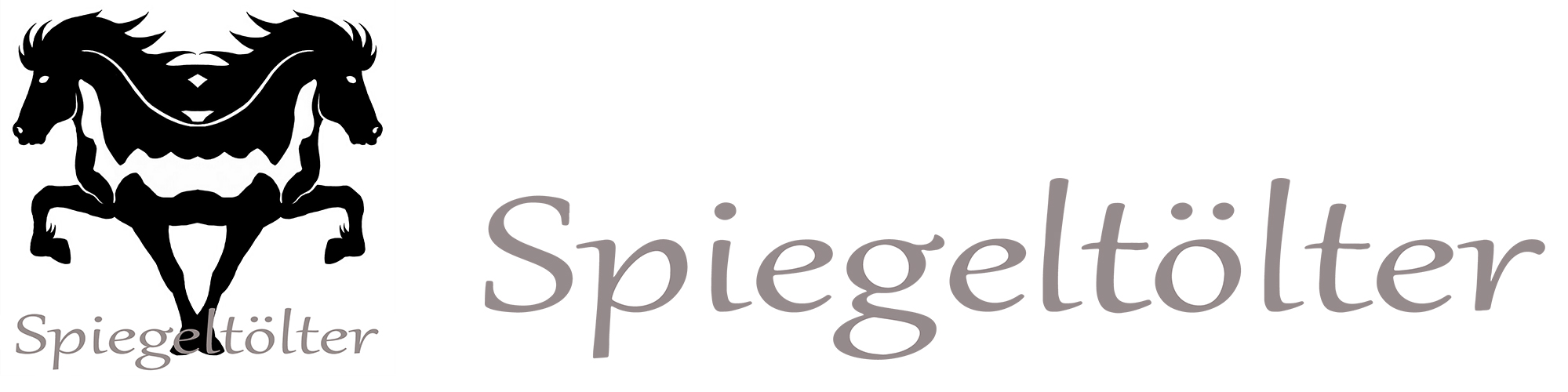 Spiegeltölter - We Create Design-Logo